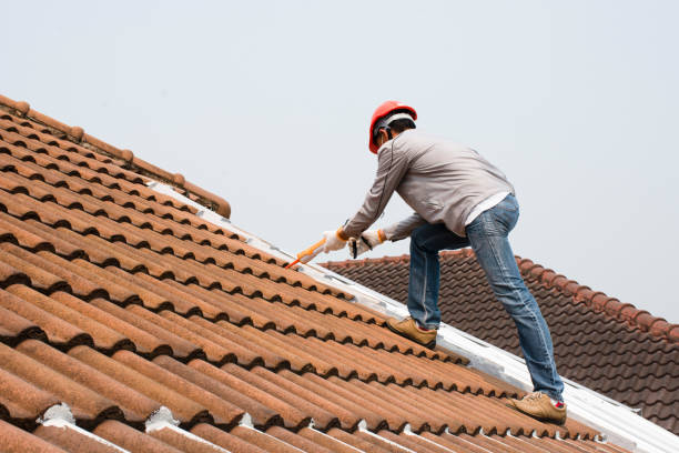 Best Sheet Metal Roofing  in Fort Hall, ID